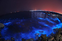 Korzyści zdrowotne wynikające z wykrywania bioluminescencji